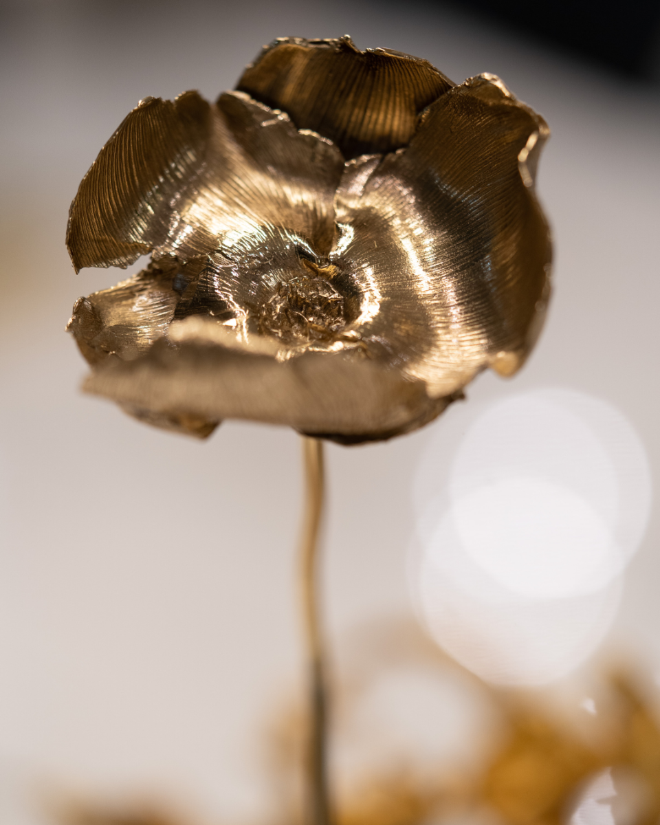Nelumbo — Sculpture