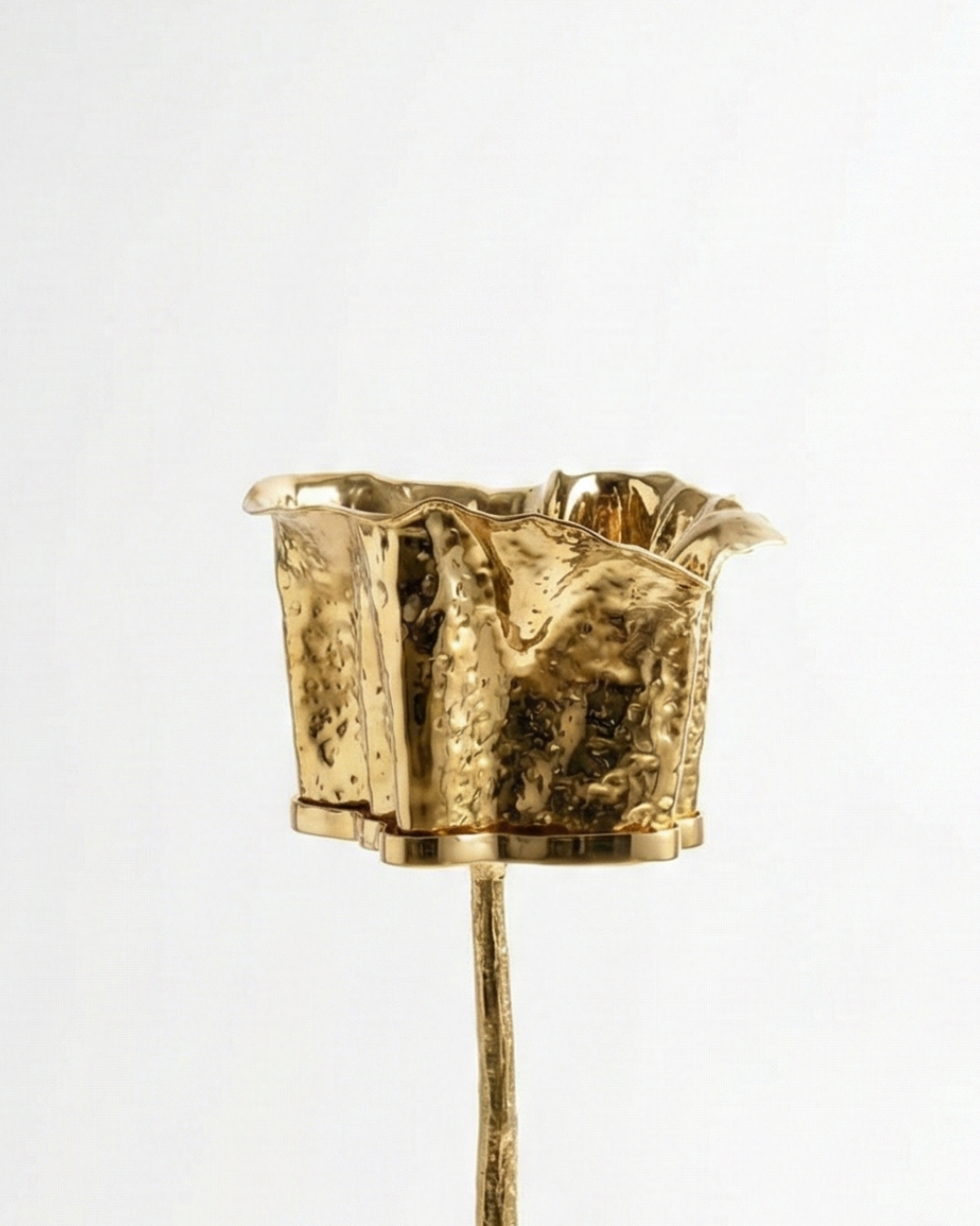 Martellato Elevated — Champagne Cooler