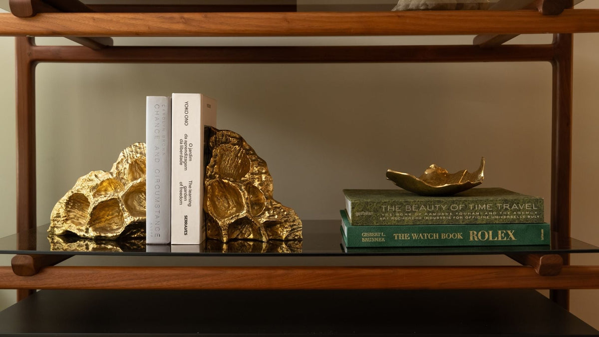 The Library — Books Worth Owning