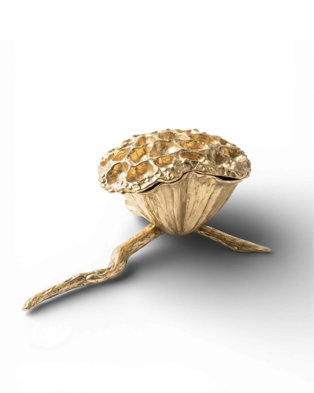 Lotus - Bowl