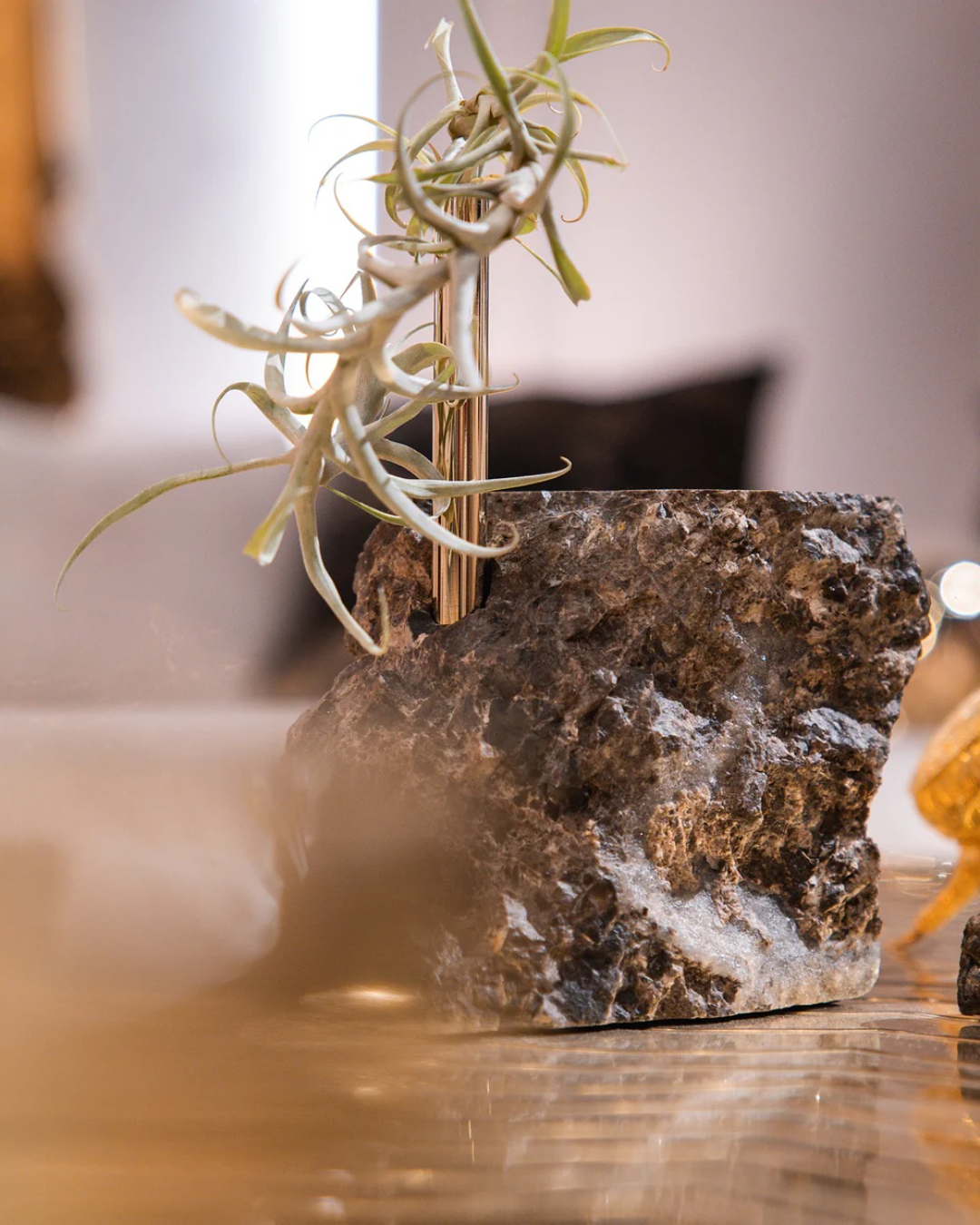 Collis II — Plant Stand