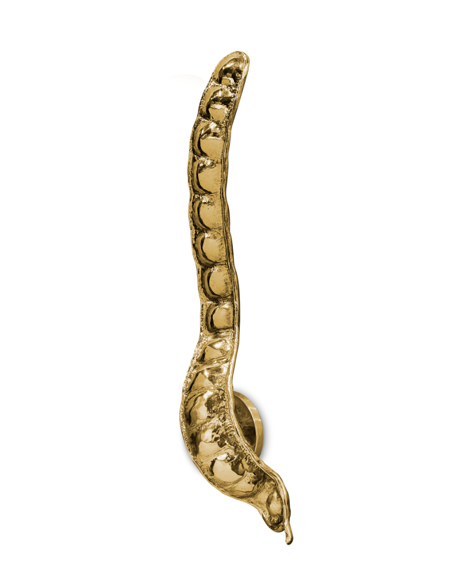 Rheedi - Wall Lamp