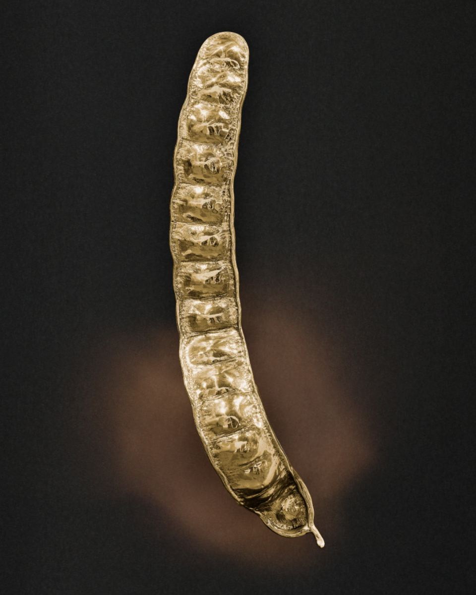Rheedi - Wall Lamp